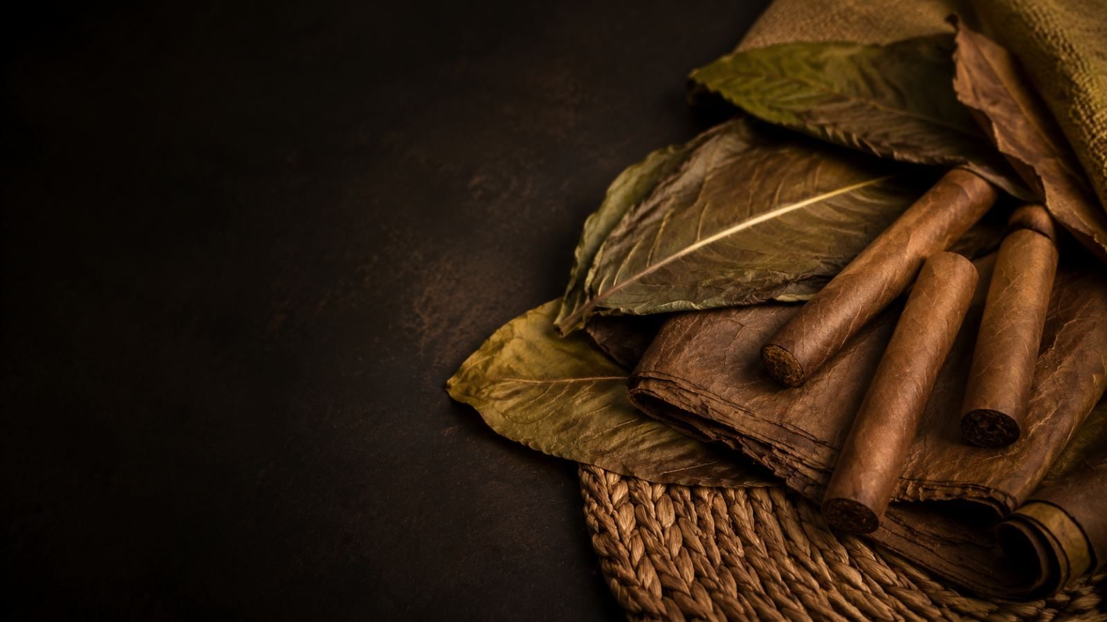 Natural leaf laid out beside cut tobacco